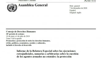 Portada Informe Relatora ejecuciones extrajudiciales_La protección del derecho a la vida